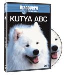 Kutya abc DVD