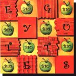 Alma együttes: Bio CD