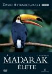 David Attenborough: A Madarak Élete (DVD)