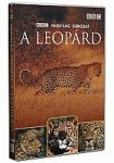 BBC Vadvilág sorozat: A leopárd (DVD)