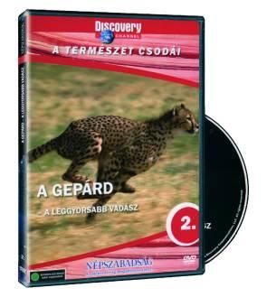 A gepárd: A leggyorsabb vadász (DVD)