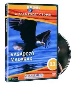 Ragadozó madarak (DVD)