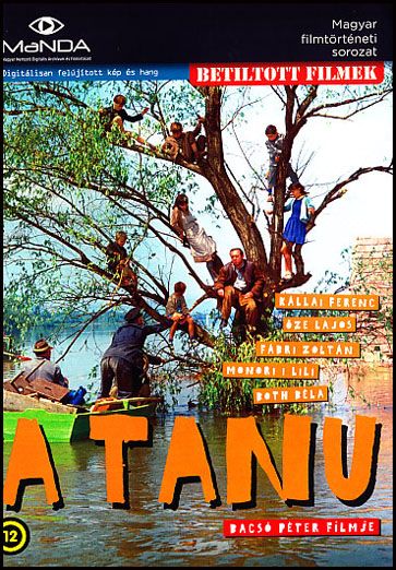 A tanú (DVD) A tanú (DVD)