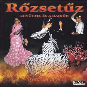 Rőzsetűz együttes és a Rajkók (CD)