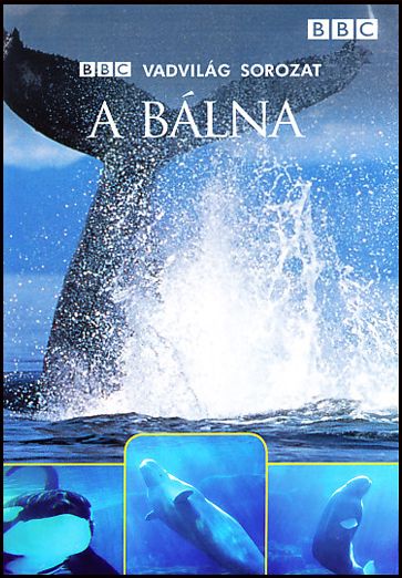 A Bálna - BBC Vadvilág sorozat (DVD) A Bálna - BBC Vadvilág sorozat (DVD)