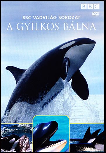 Gyilkos bálna - BBC Vadvilág sorozat (DVD)