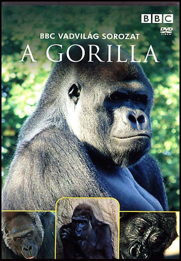 A gorilla - BBC Vadvilág sorozat (DVD)